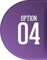 OPTION 01