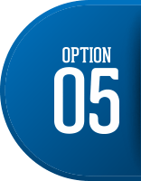 OPTION 01